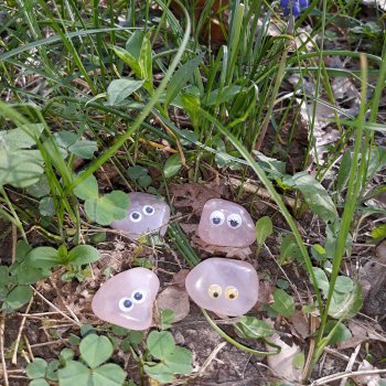 Из жизни камней