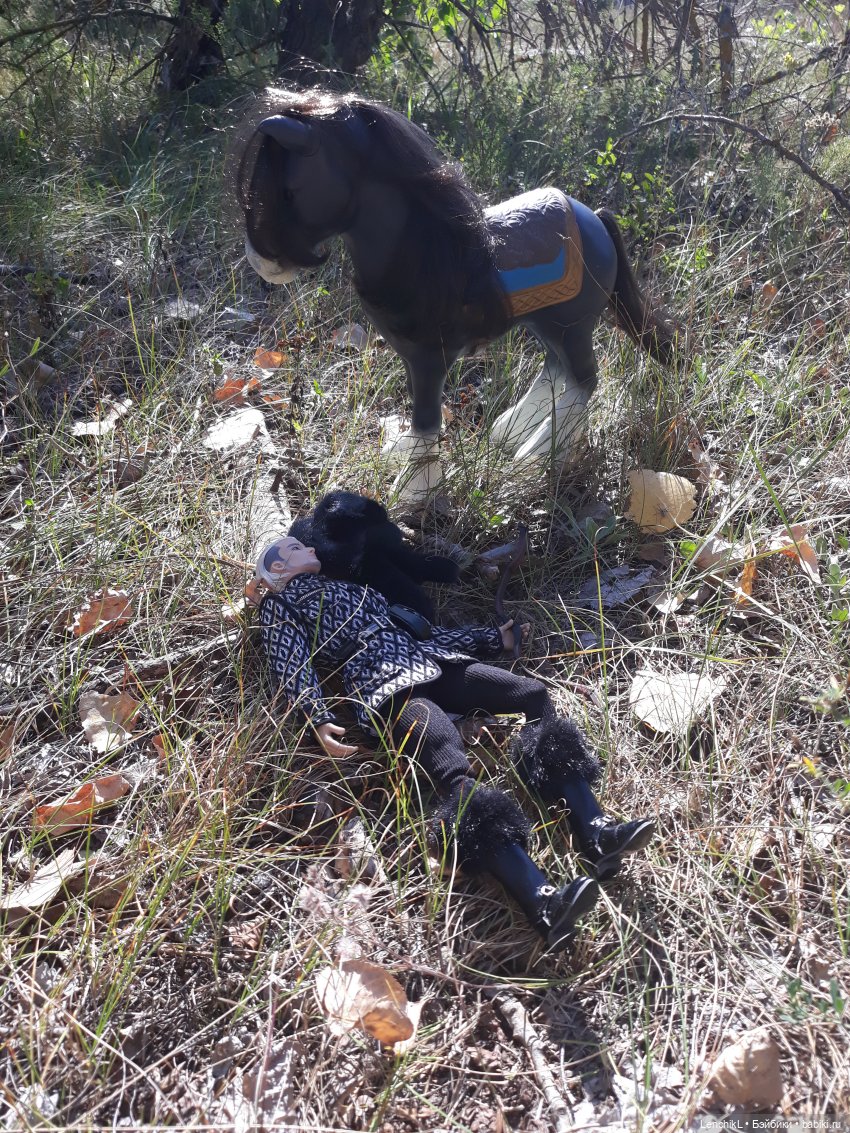 Как пан дорогу искал — Аналоги Барби и куклы 1/6: клоны 90