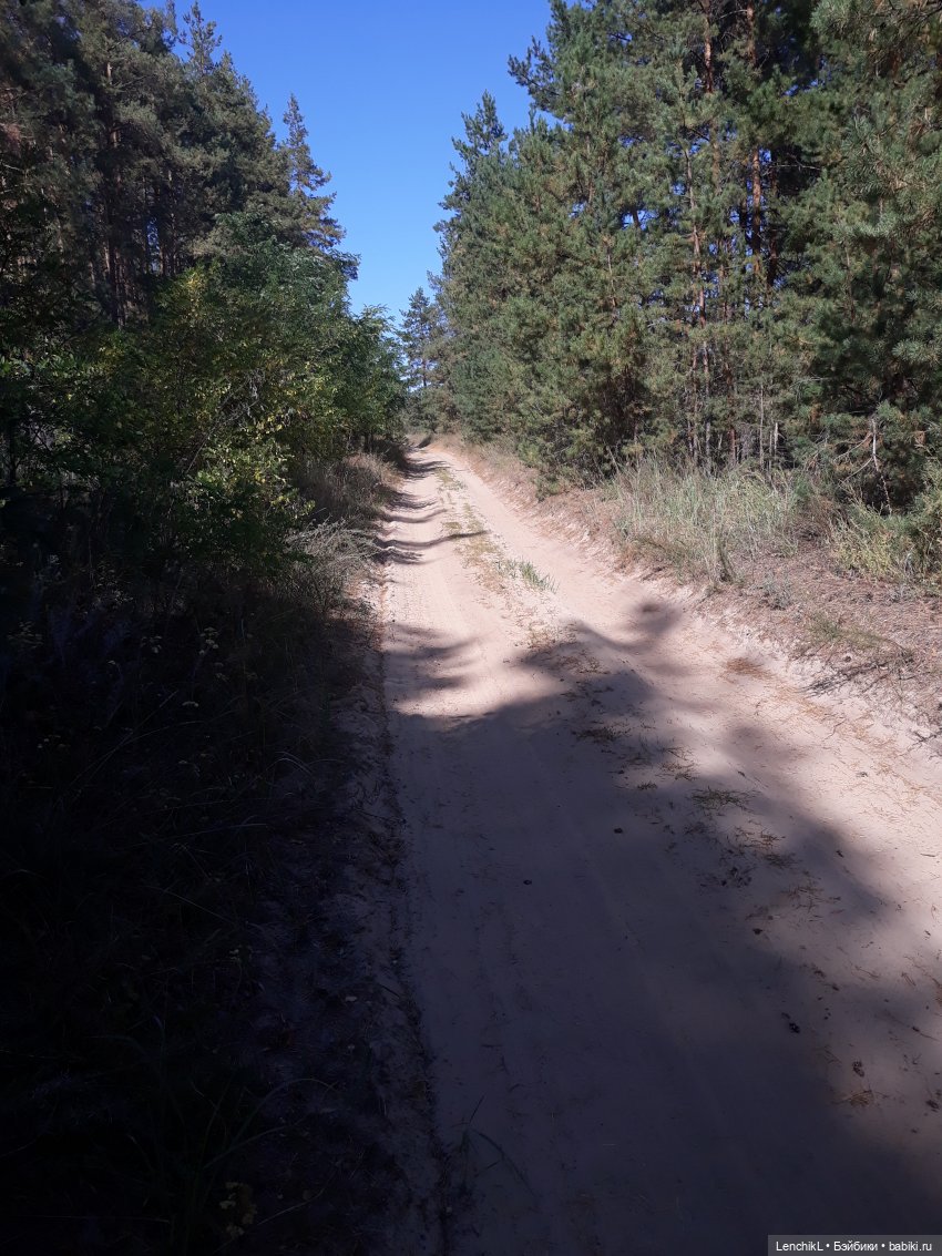 Как пан дорогу искал — Аналоги Барби и куклы 1/6: клоны 90