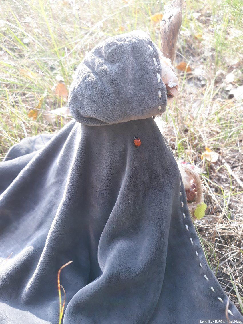 Как пан дорогу искал — Аналоги Барби и куклы 1/6: клоны 90 (фото 4)