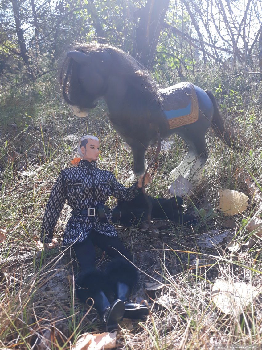 Как пан дорогу искал — Аналоги Барби и куклы 1/6: клоны 90