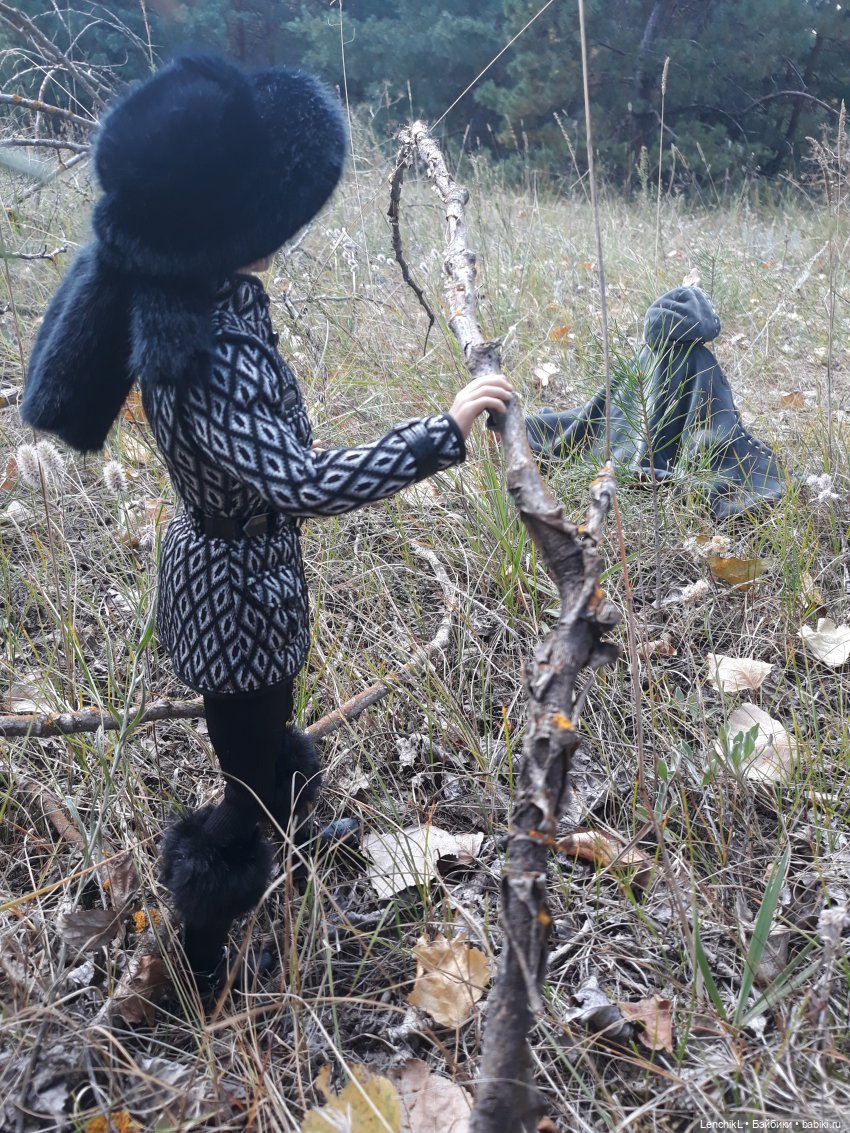 Как пан дорогу искал — Аналоги Барби и куклы 1/6: клоны 90 (фото 5)