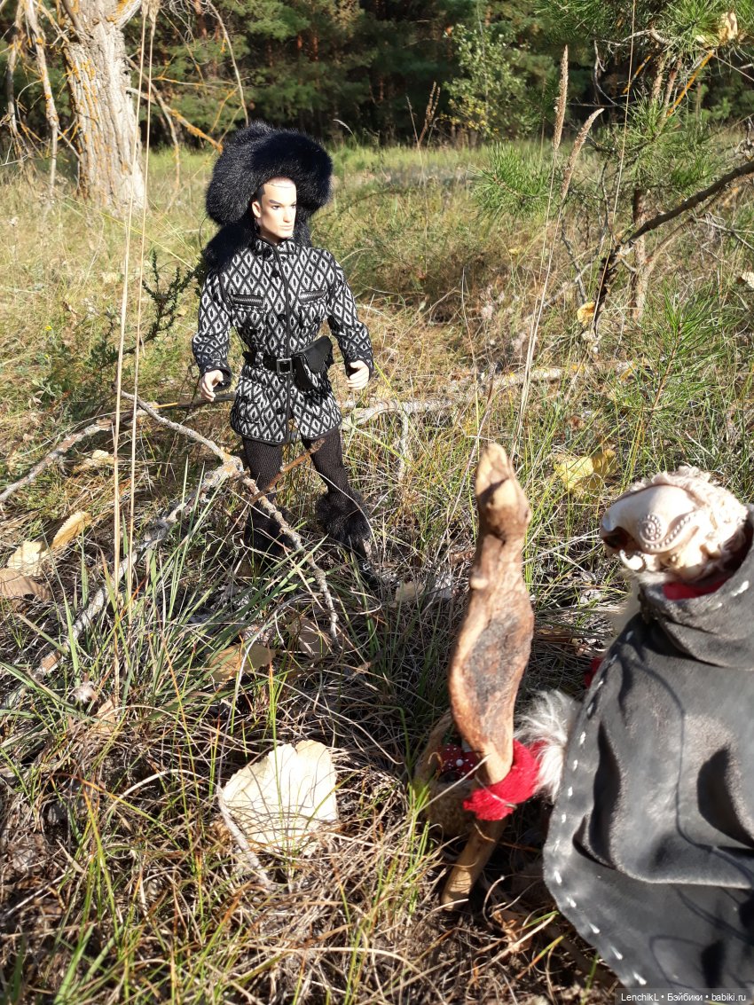 Как пан дорогу искал — Аналоги Барби и куклы 1/6: клоны 90 (фото 6)