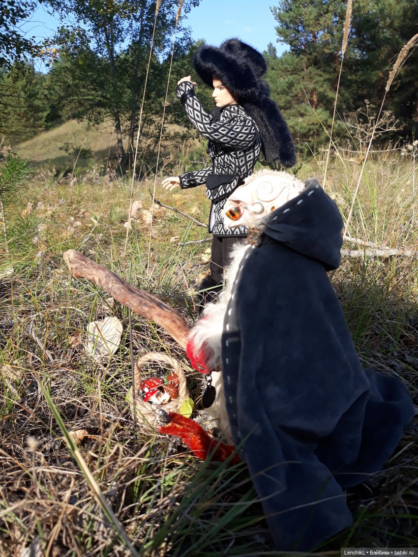 Как пан дорогу искал — Аналоги Барби и куклы 1/6: клоны 90 (фото 8)