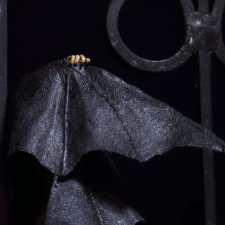 Microchiroptera, 16+, Phicen
