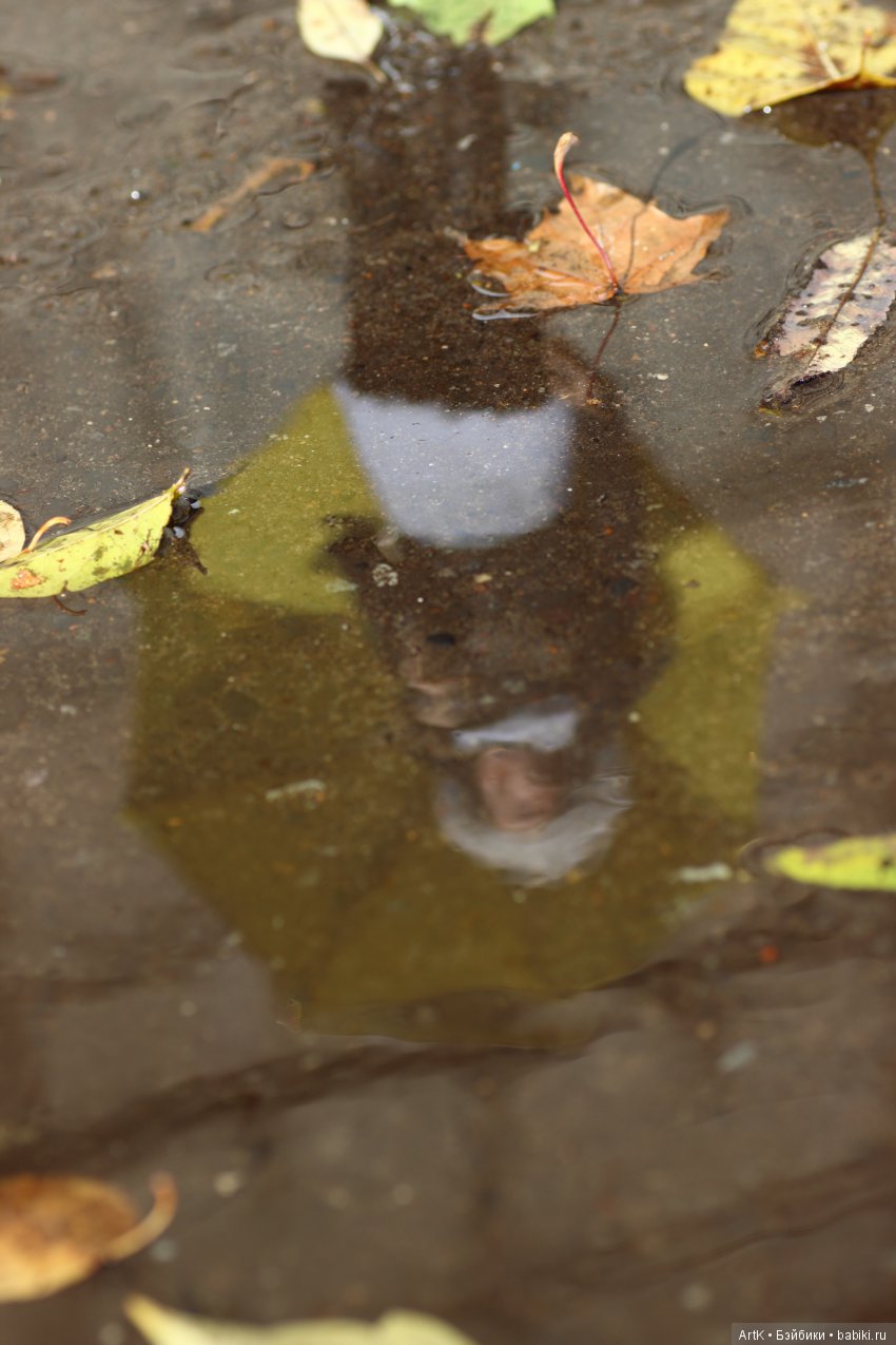 Золото осени, Phicen — Куклы Phicen (TBLeague/Фицен): бесшовные тела (фото 8)