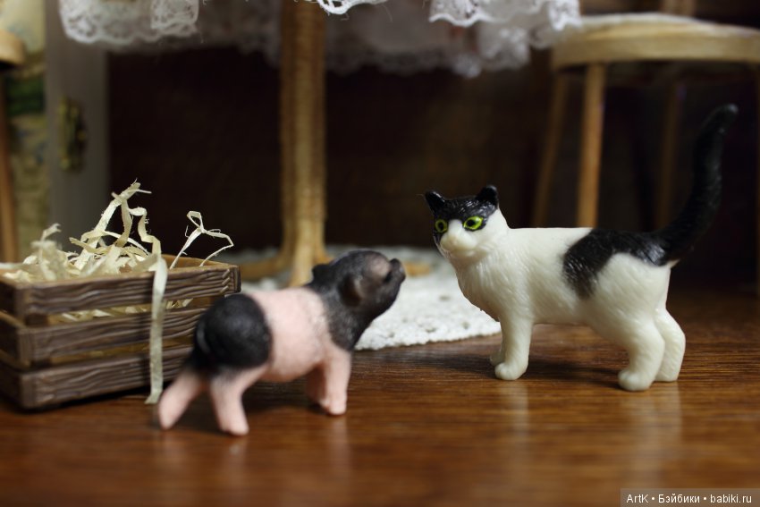 Подложили свинью, Phicen — Куклы Phicen (TBLeague/Фицен): бесшовные тела