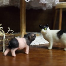 Подложили свинью, Phicen