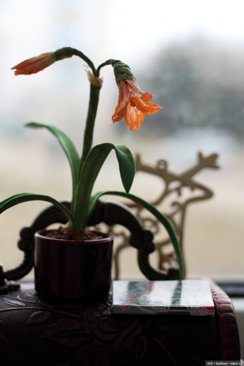 День неожиданностей, Phicen (фото 6)