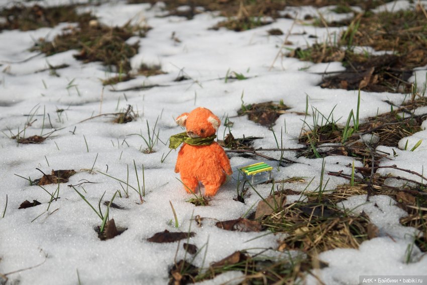 Весеннее путешествие — Домашние фото авторских игрушек: Тедди