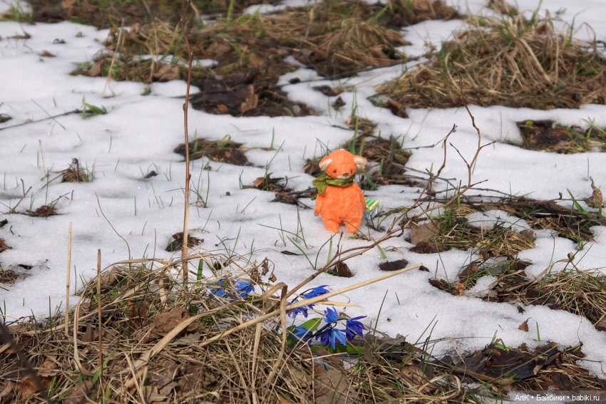 Весеннее путешествие — Домашние фото авторских игрушек: Тедди (фото 4)