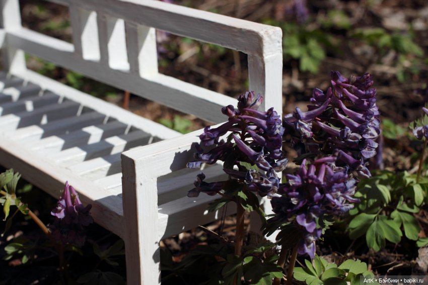 Corýdalis, Phicen — Куклы Phicen (TBLeague/Фицен): бесшовные тела (фото 4)