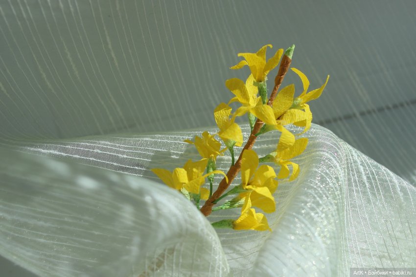 Форзиция, Phicen — Куклы Phicen (TBLeague/Фицен): бесшовные тела (фото 5)