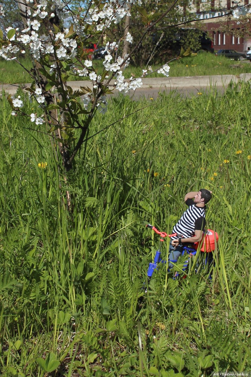 Цветочные облака, Phicen | Бэйбики Цветочные облака, Phicen — Куклы Phicen (TBLeague/Фицен): бесшовные тела (фото 7)