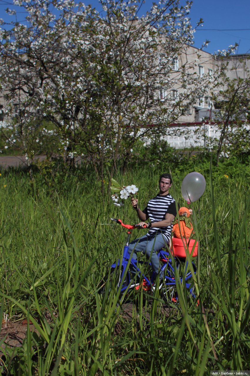 Цветочные облака, Phicen — Куклы Phicen (TBLeague/Фицен): бесшовные тела