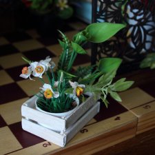 Мы открылись, Phicen