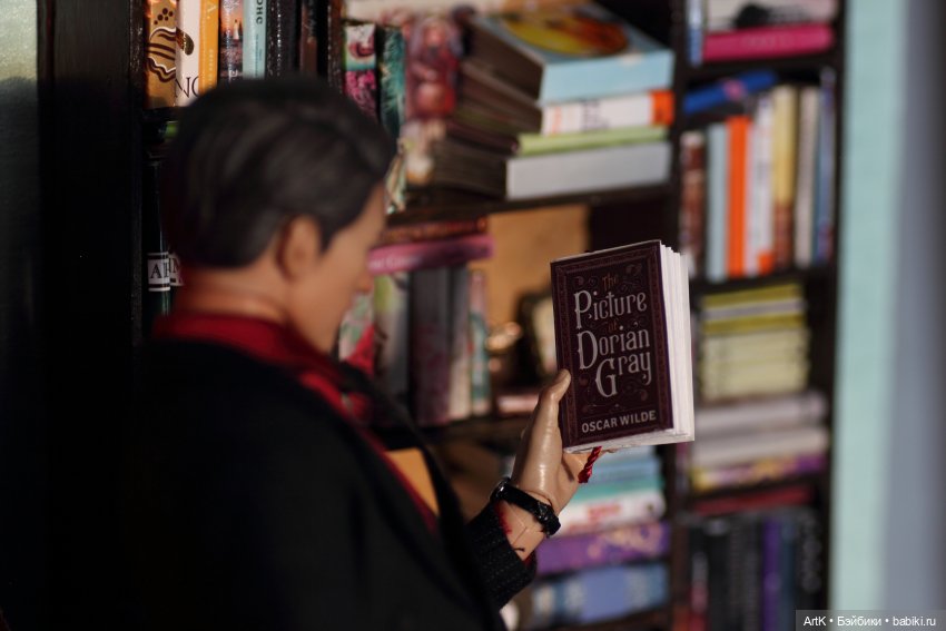 Книголюб — Коллекционные экшн (фото 6)