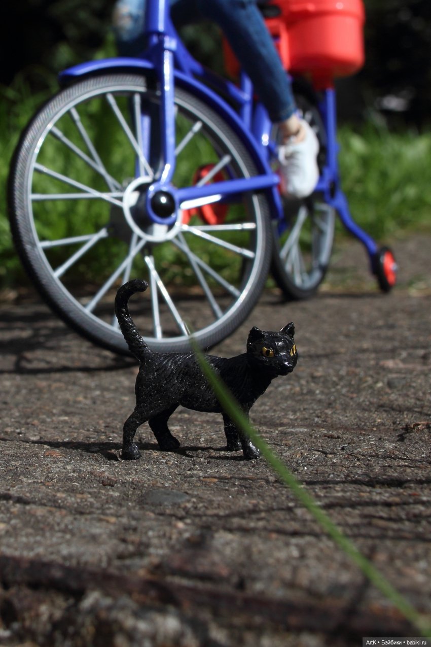 Взлеты и падения, Phicen | Бэйбики Взлеты и падения, Phicen — Куклы Phicen (TBLeague/Фицен): бесшовные тела (фото 4)