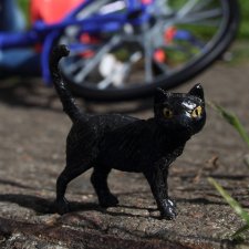 Взлеты и падения, Phicen