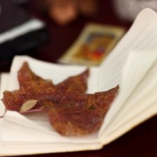 Гербарий, Phicen