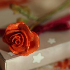 Поздравления, Phicen