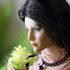 Зимний сад, Phicen