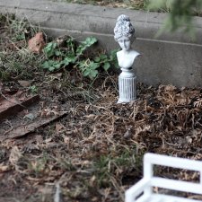 В старом парке, Phicen