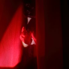 Подарочек, Phicen