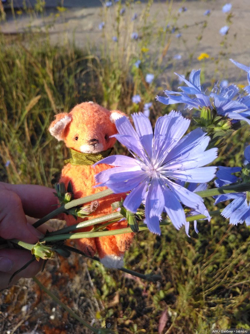 Утро на Волге — Туризм и путешествия: фотоотчеты из поездок (фото 9)