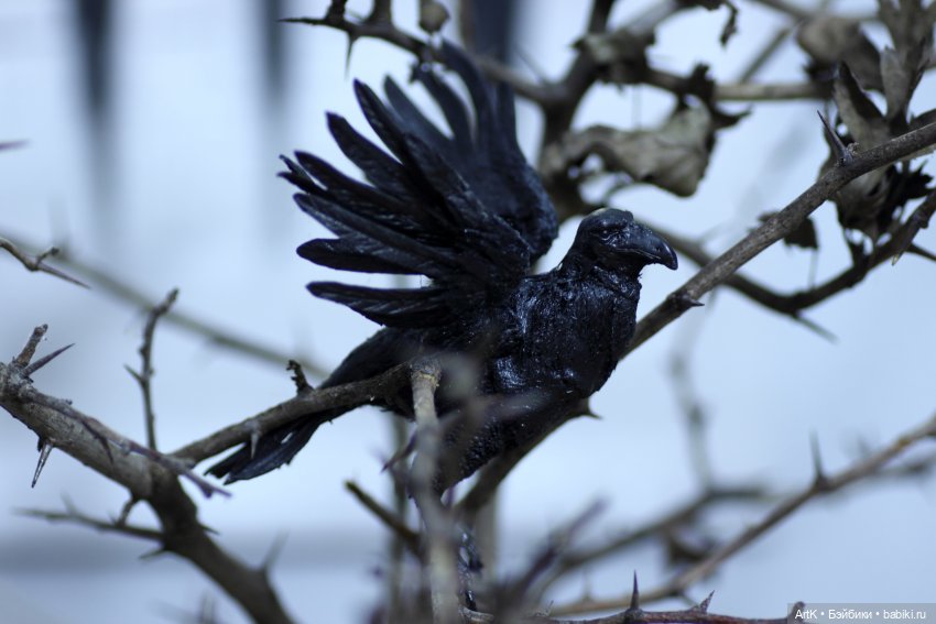 В сумерках, Phicen — Куклы Phicen (TBLeague/Фицен): бесшовные тела (фото 2)