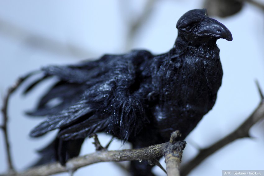 В сумерках, Phicen — Куклы Phicen (TBLeague/Фицен): бесшовные тела