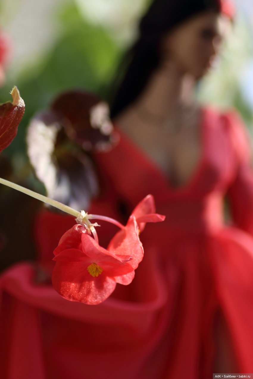 Зимняя бегония, Phicen — Куклы Phicen (TBLeague/Фицен): бесшовные тела (фото 8)