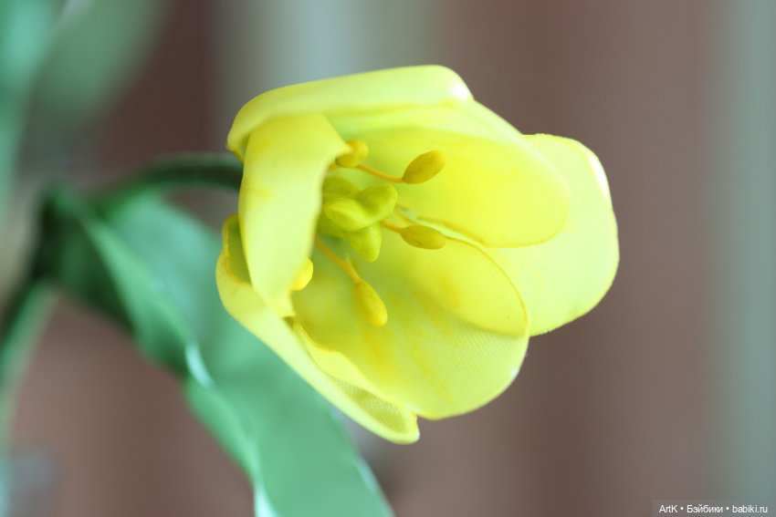 Весна для двоих — Другие хобби и увлечения: сад (фото 5)