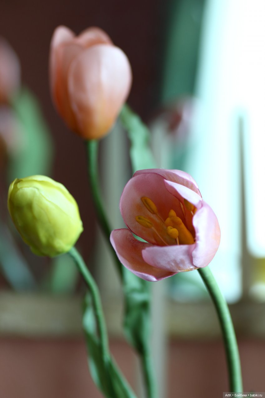 Весна для двоих — Другие хобби и увлечения: сад (фото 3)