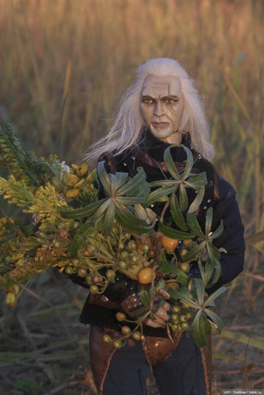 Ведьмак в поисках чудовищ | Бэйбики Ведьмак в поисках чудовищ