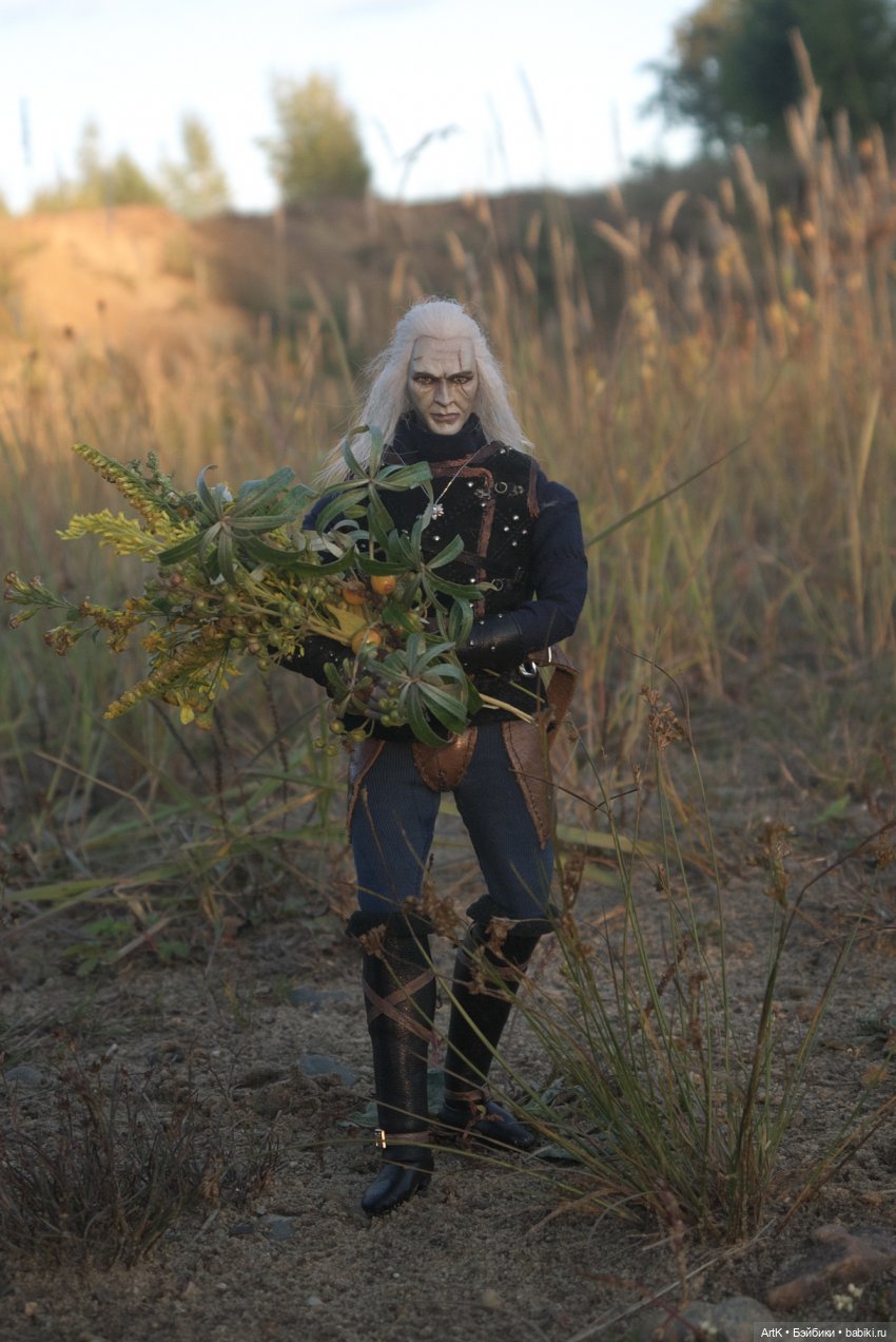 Ведьмак в поисках чудовищ | Бэйбики Ведьмак в поисках чудовищ