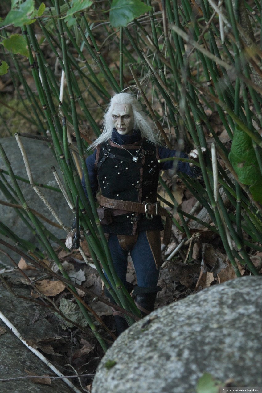 Ведьмак в поисках чудовищ | Бэйбики Ведьмак в поисках чудовищ (фото 9)