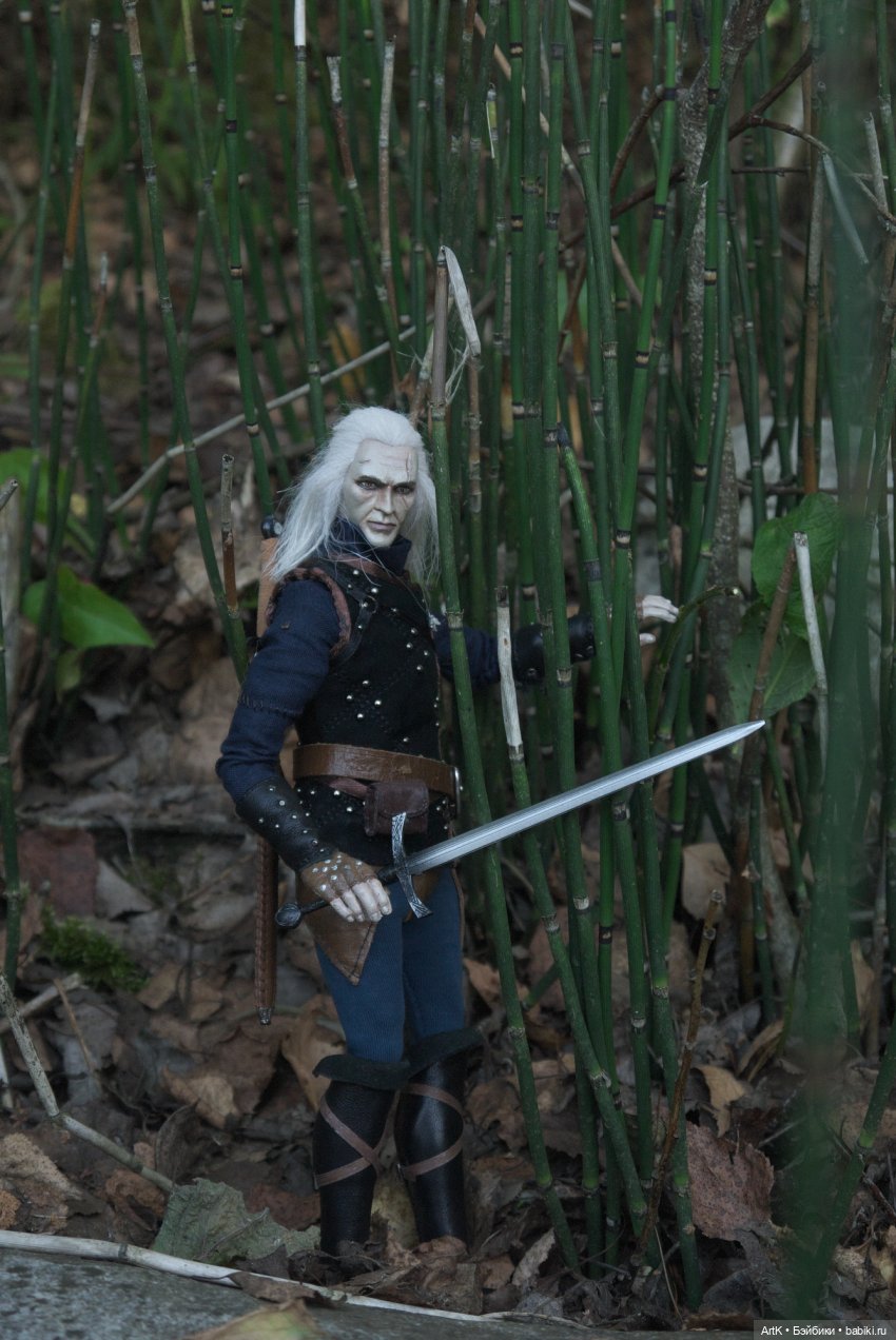 Ведьмак в поисках чудовищ | Бэйбики Ведьмак в поисках чудовищ (фото 10)