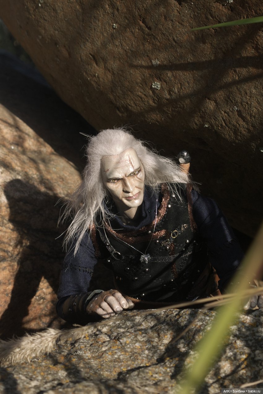 Ведьмак в поисках чудовищ | Бэйбики Ведьмак в поисках чудовищ (фото 7)