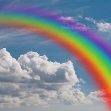 Семь цветов радуги