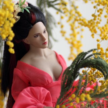 День мимозы