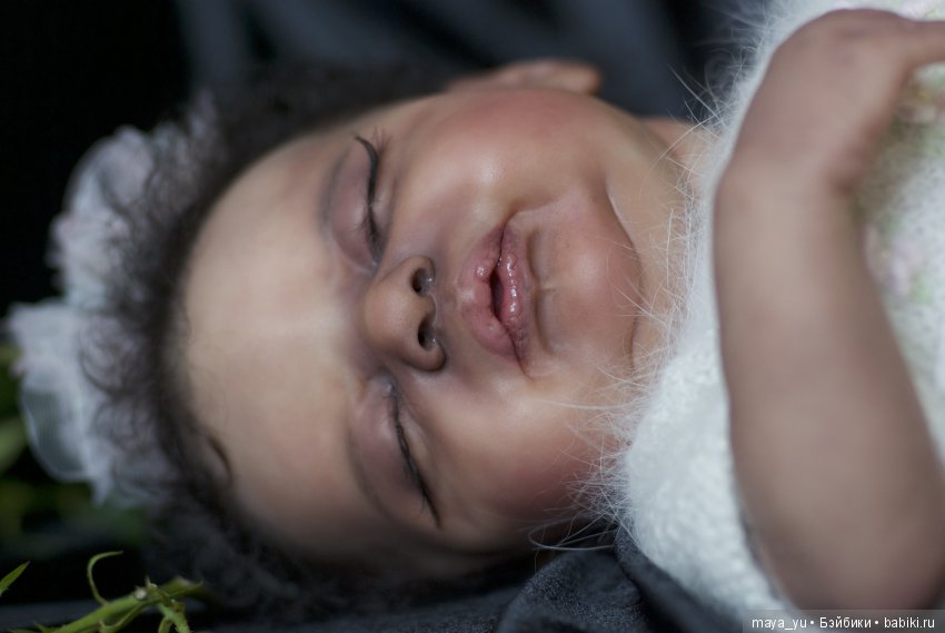 Темнокожая сплюшечка Америкус