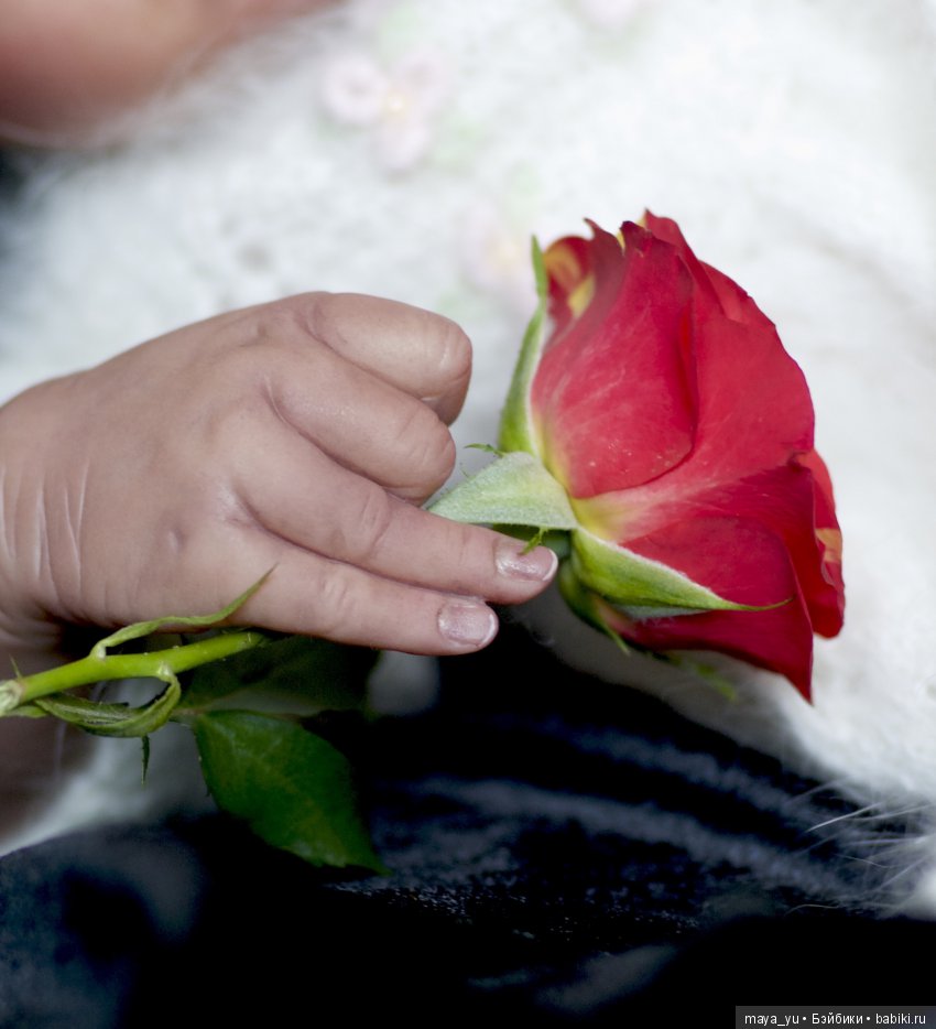 Темнокожая сплюшечка Америкус (фото 9)