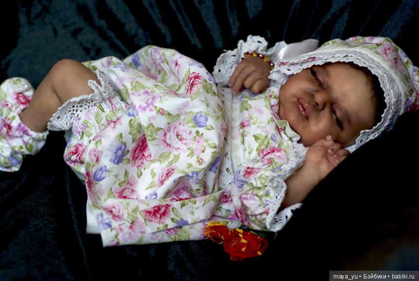 Темнокожая сплюшечка Америкус