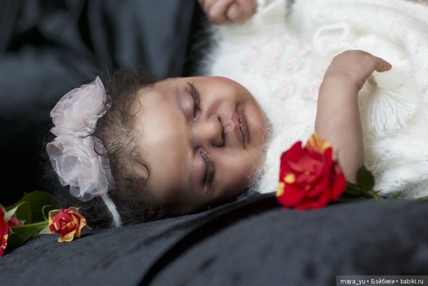 Темнокожая сплюшечка Америкус