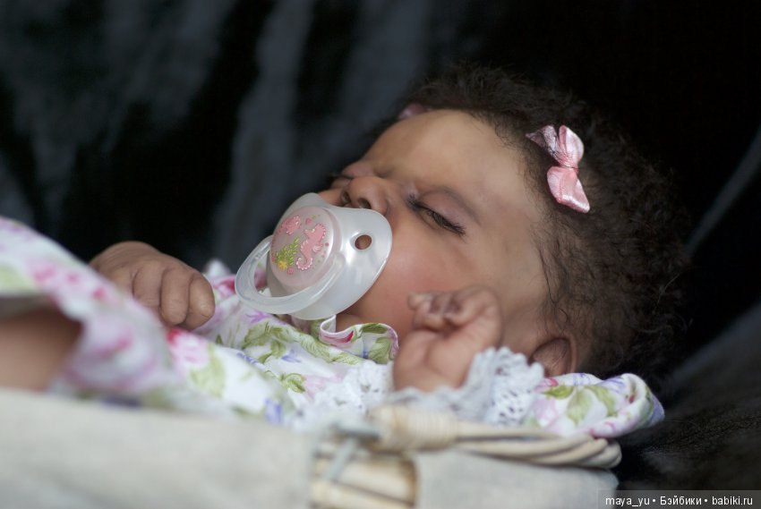 Темнокожая сплюшечка Америкус