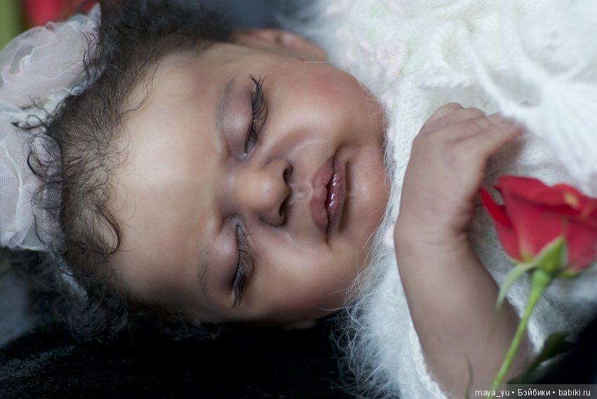 Темнокожая сплюшечка Америкус (фото 6)