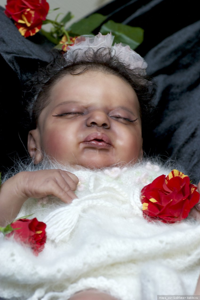 Темнокожая сплюшечка Америкус (фото 2)