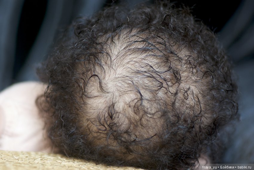 Темнокожая сплюшечка Америкус