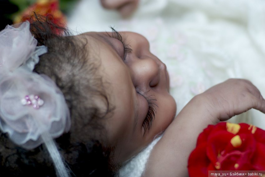 Темнокожая сплюшечка Америкус (фото 10)